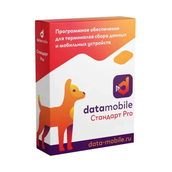 ПО DataMobile, версия Стандарт Pro - LifeTime (DMPro)