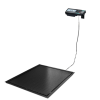 Весы платформенные Масса-К 4D-PMF-15/12-1000-RА врезные